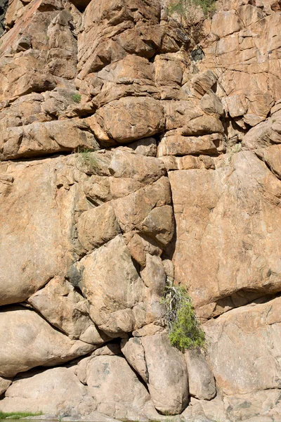 カオコランド砂漠の石の詳細 — ストック写真
