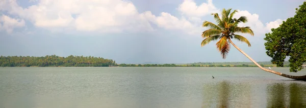 Kanäle in den hinteren Gewässern in Kerala — Stockfoto