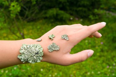 Lichen on the hand clipart