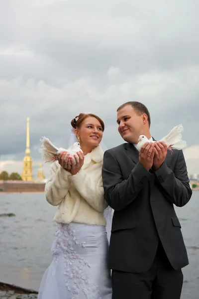 Joven pareja de boda — Foto de Stock