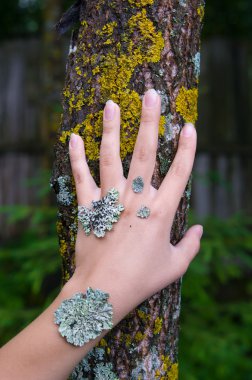 Lichen on the hand clipart