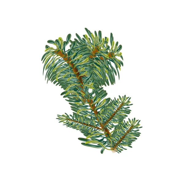 Natal conceito ramo árvore de abeto malha —  Vetores de Stock
