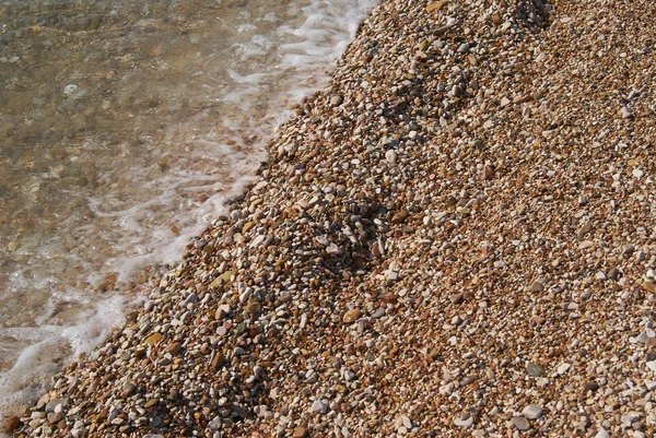 güneşli yaz öğleden sonra dalga deniz