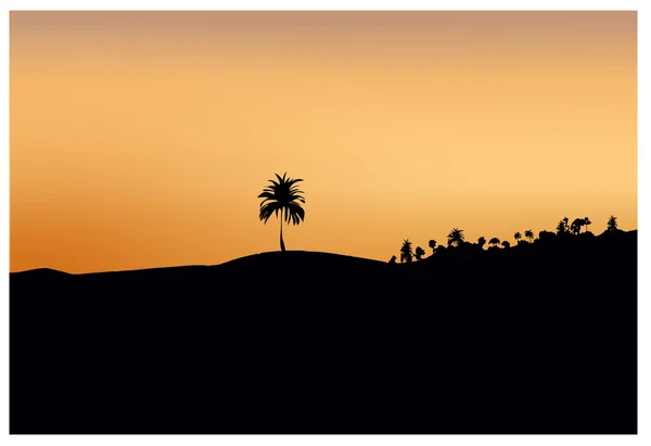 Dunkle Silhouette aus Sand und Bäumen bei Sonnenuntergang — Stockfoto