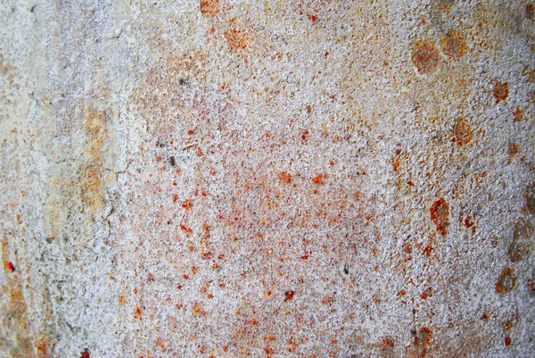 Textura áspera roca sangrienta del florero — Stockfoto