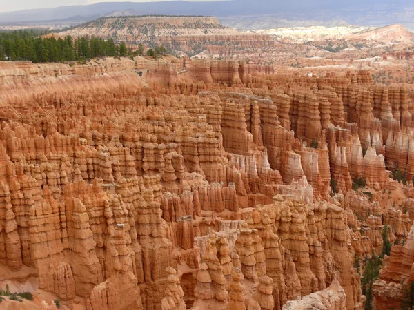 stock image Bryce Canyon