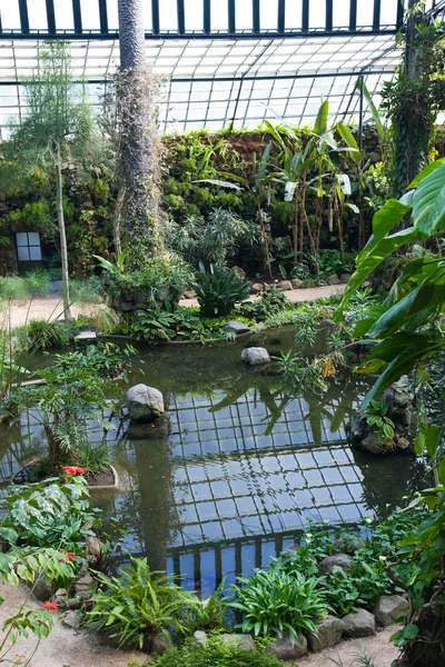 stock image Garden in Lisbon, near the Park Eduardo Vii