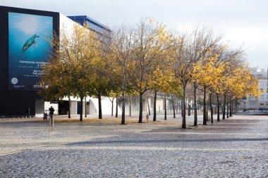 Oceanarium, Portekiz