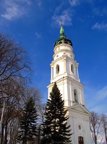 stock image The tower, bell tower at St. Mary Bazylce in Chelm