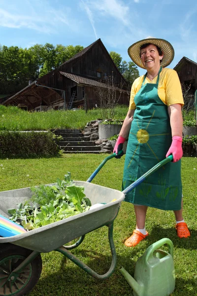 Planting vegetables in her garden — Stock Photo, Image