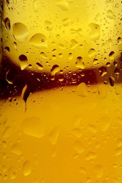 Beer and condensation — Stock Photo, Image