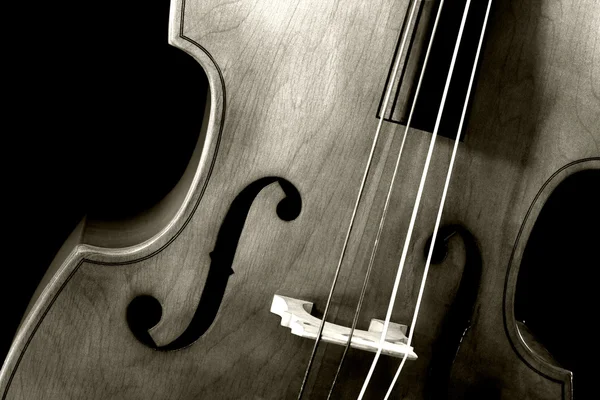 低音提琴棕褐色 — 图库照片