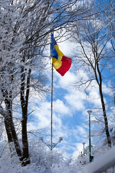 Ρουμανική σημαία στην κορυφή του βουνού tampa — Φωτογραφία Αρχείου