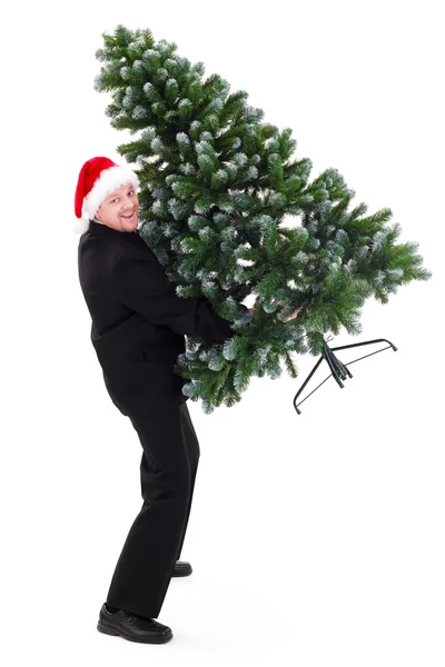 Man in Santa's hat holding bald Christmas tree — Stock Photo, Image
