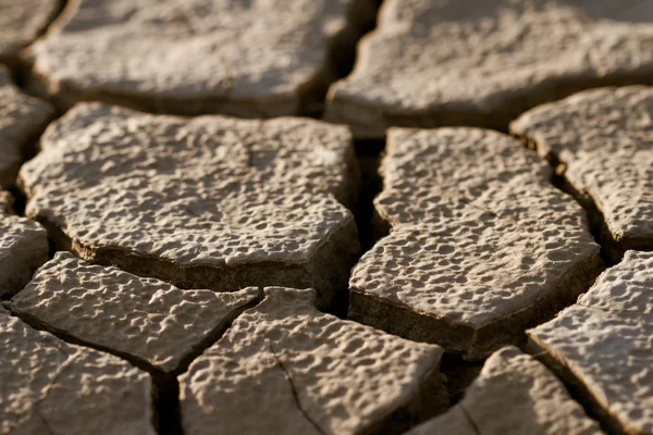 stock image Cracked lifeless soil