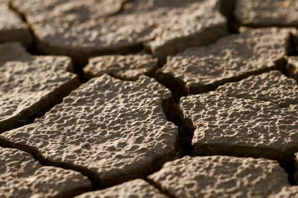 Terreno incrinato senza vita — Foto Stock