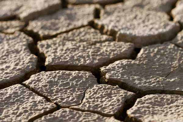 stock image Cracked lifeless soil