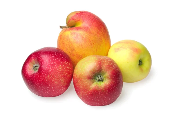 Quattro mele diverse — Foto Stock