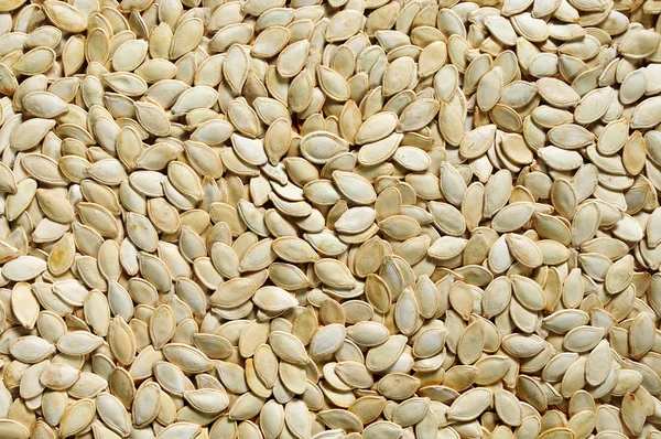 Texture of the pumpkin seeds — Stock Photo, Image