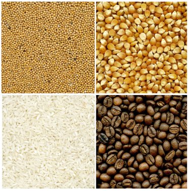 Mustard, coffee, rice and corn backgrounds clipart
