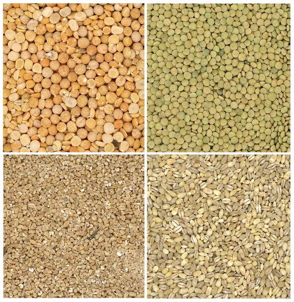 Різні зернові — стокове фото
