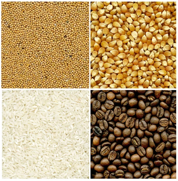 Горчица, кофе, рис и кукуруза — стоковое фото