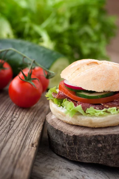 Delicious sandwich — Stock Photo, Image