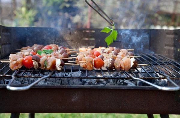 Spring barbecue — Stock Photo, Image