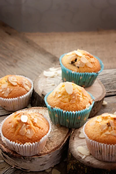 Deliciosos muffins — Fotografia de Stock