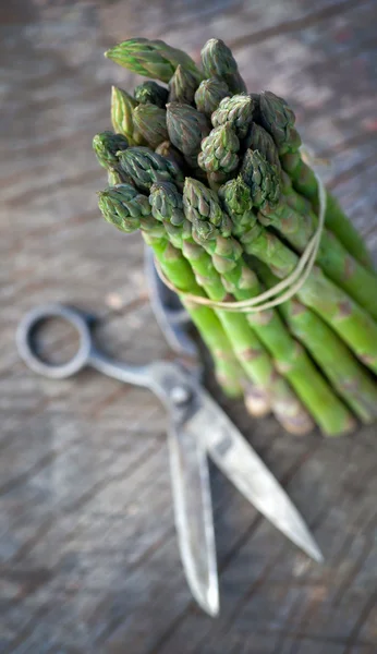 Freshly harvested asparagus — Stock Photo, Image