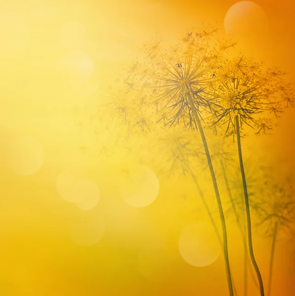 Blommig abstrakt bakgrund — Stockfoto