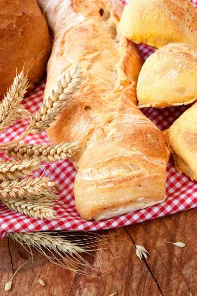 Vers gebakken brood — Stockfoto