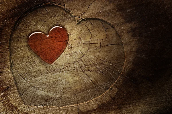 Texto de amor sobre fondo de madera —  Fotos de Stock