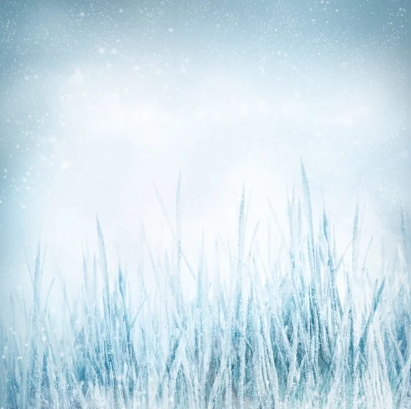 Inverno natureza fundo com grama congelada — Fotografia de Stock