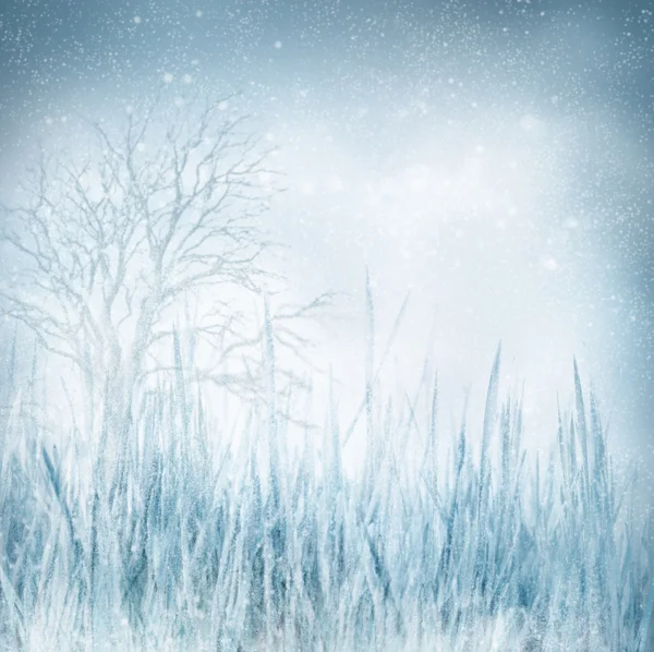 Inverno — Foto Stock
