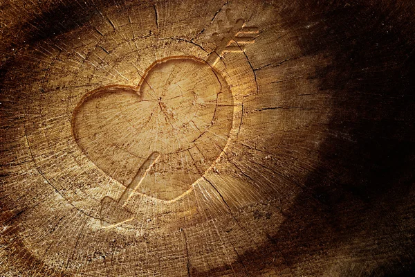 Texte d'amour sur fond en bois — Photo