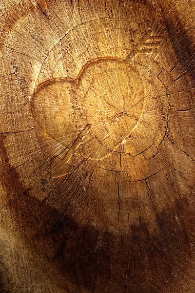 Text de dragoste pe fundal din lemn — Fotografie, imagine de stoc