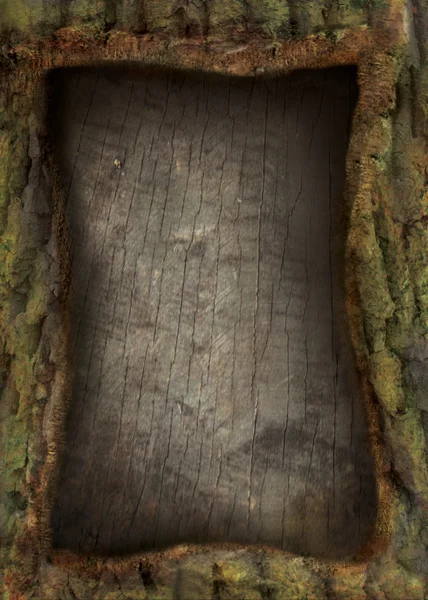 Ağaç kabuğu ile doğa kartı — Stok fotoğraf