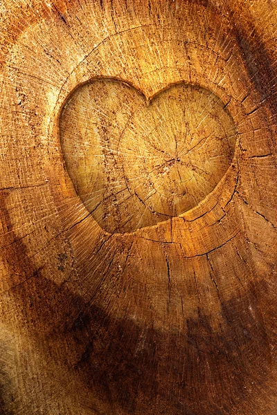 Älska text på trä bakgrund — Stockfoto