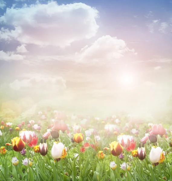 Påsk våren bakgrund — Stockfoto