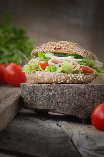 Delicioso sándwich — Foto de Stock