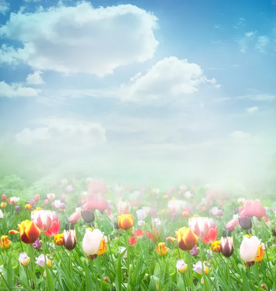 Easter Spring background — Stock Photo, Image