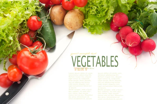 Variety of fresh vegetables — Stock Photo, Image