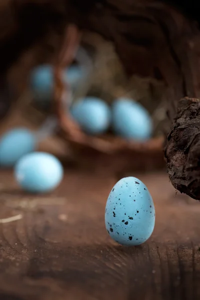 Jaja wielkanocne niebieski — Zdjęcie stockowe