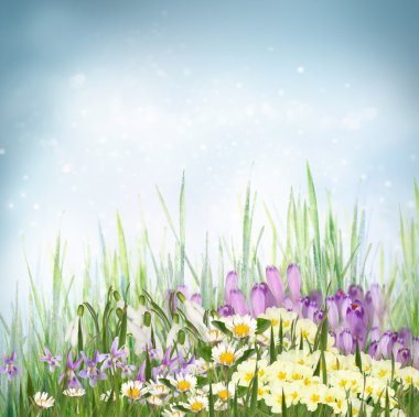 Spring floral background with spring symbol flowers clipart