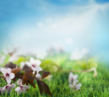 Beautiful floral spring background clipart