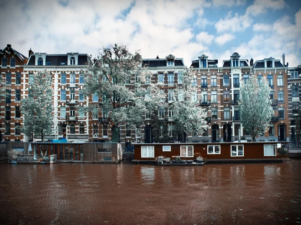 Vintage Amsterdam arkitektur - Stock-foto