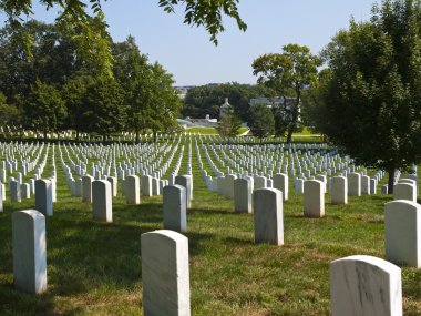 Graves in the Cemetery clipart