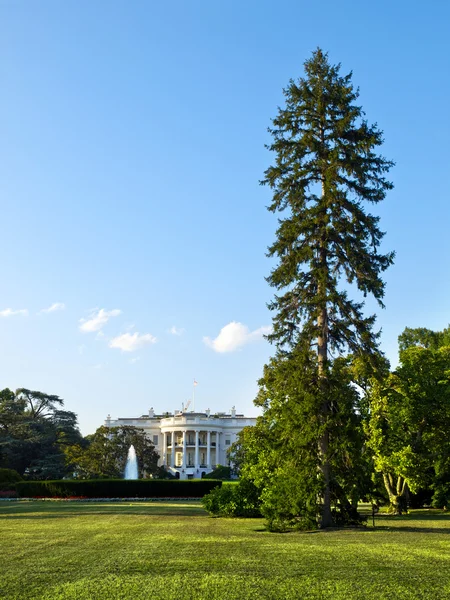 Vita huset, washington dc — Stockfoto
