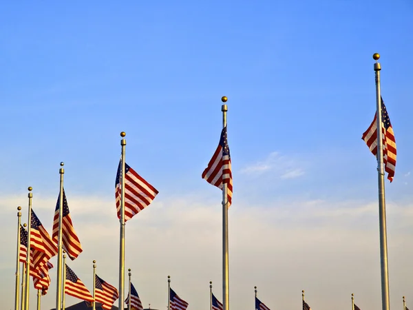 Drapeaux des États-Unis dans le monument de Washington — Photo